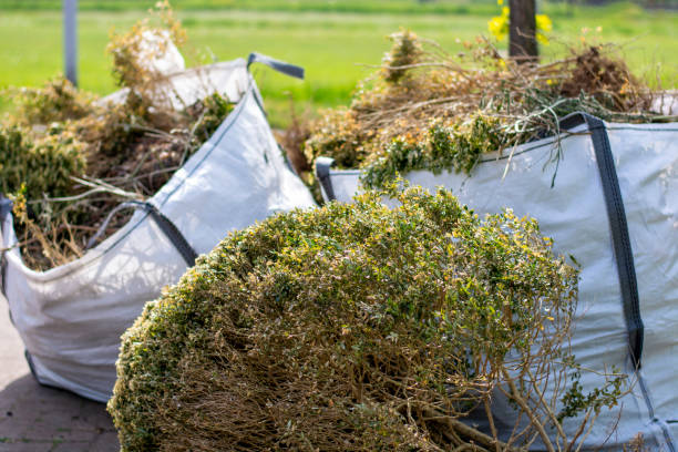 Best Commercial Cleanout Services  in Alexandria, KY